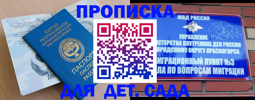 временная регистрация поиск в Элисте